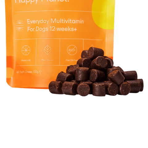 Everyday Multivitamin For Dogs 12 Weeks +